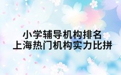 小学辅导机构排名 上海热门机构实力比拼