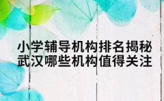 小学辅导机构排名揭秘 武汉哪些机构值得关注
