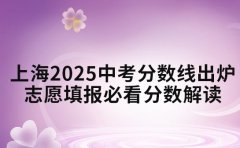上海2025中考分数线出炉 志愿填报必看分数解读
