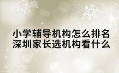 小学辅导机构怎么排名 深圳家长选机构看什么