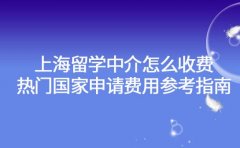 上海留学中介怎么收费 热门国家申请费用参考指南