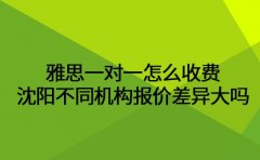 雅思一对一怎么收费 沈阳不同机构报价差异大吗