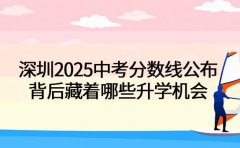 深圳2025中考分数线公布 背后藏着哪些升学机会