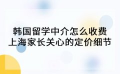 韩国留学中介怎么收费 上海家长关心的定价细节