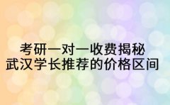 考研一对一收费揭秘 武汉学长推荐的价格区间