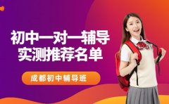 初中一对一辅导班排名 成都家长实测推荐名单