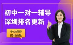 初中辅导排名更新 深圳家长紧盯的一对一机构