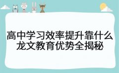 高中学习效率提升靠什么 龙文教育优势全揭秘