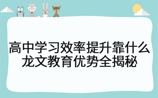 龙文教育辅导机构