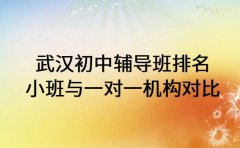 武汉初中辅导班排名 小班与一对一机构对比