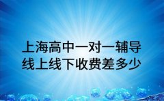 上海高中一对一辅导 线上线下收费差多少