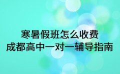 寒暑假班怎么收费 成都高中一对一辅导指南