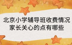 北京小学辅导班收费情况 家长关心的点有哪些