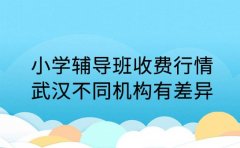 小学辅导班收费行情 武汉不同机构有差异