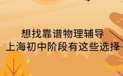 想找靠谱物理辅导 上海初中阶段有这些选择