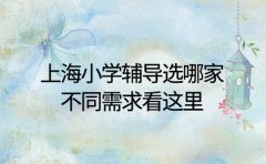 上海小学辅导选哪家 不同需求看这里