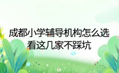 成都小学辅导机构怎么选 看这几家不踩坑