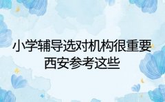 小学辅导选对机构很重要 西安参考这些