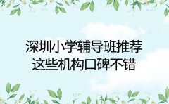 深圳小学辅导班推荐 这些机构口碑不错