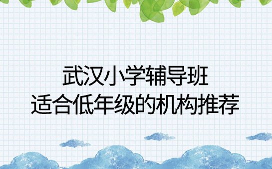 武汉小学辅导班
