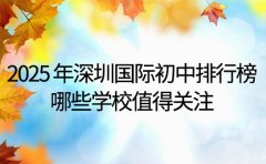2025 年深圳国际初中排行榜，哪些学校值得关注