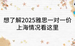 想了解 2025 雅思一对一价 上海情况看这里