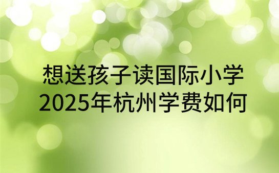 国际小学学费