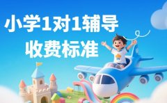 上海小学一对一辅导收费 家长关心的事都在这