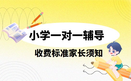 武汉小学一对一辅导