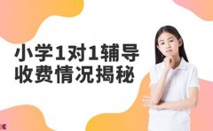 2025广州小学一对一辅导 收费情况大揭秘