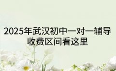 2025年武汉初中一对一辅导 收费区间看这里
