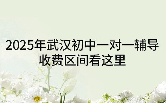 初中辅导机构