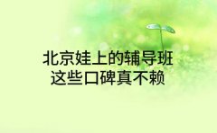 北京娃上的辅导班 这些口碑真不赖