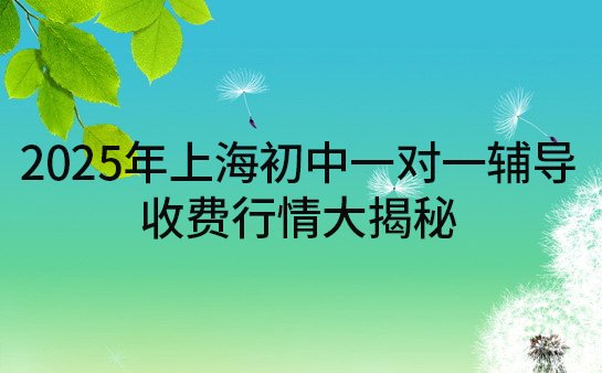 初中一对一辅导收费