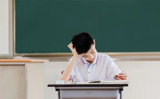 制定专属的辅导方案
