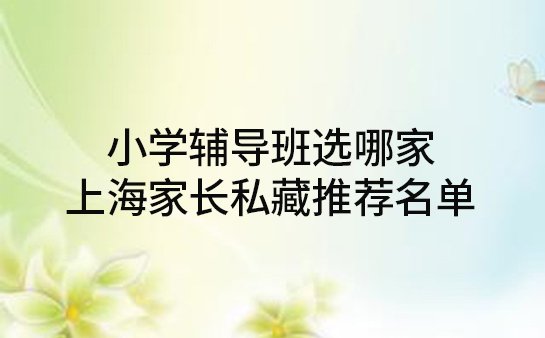 上海小学辅导班