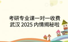 考研专业课一对一收费 武汉 2025 内情揭秘啦