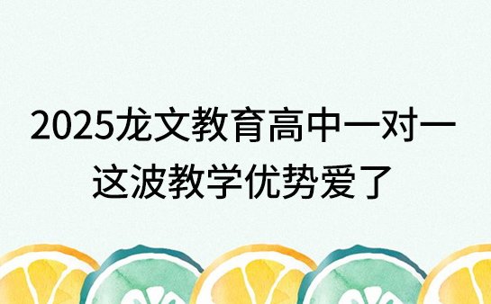 龙文教育高中一对一