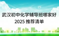 武汉初中化学辅导班哪家好 2025 推荐清单