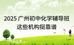2025 广州初中化学辅导班 这些机构挺靠谱