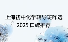 上海初中化学辅导班咋选 2025 口碑推荐