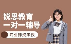 锐思教育为什么靠谱 教学优势说给你听