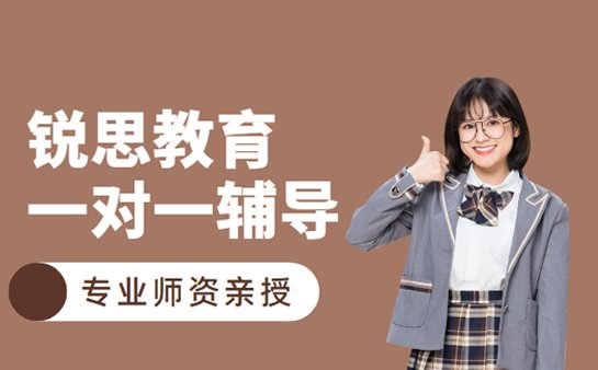 锐思教育辅导培训机构