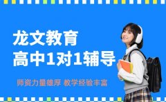 龙文教育高中一对一辅导盯得紧 学情抓得特别准