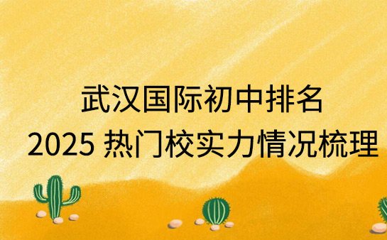 武汉国际初中排名
