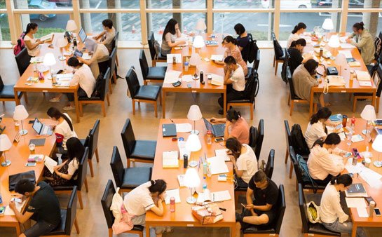 针对性的教学内容
