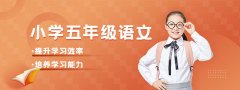艺考文化课集训