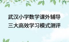 武汉小学数学课外辅导 三大高效学习模式测评