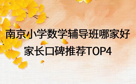 南京小学数学辅导班