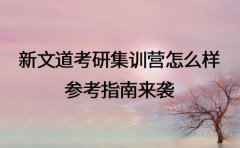 新文道考研集训营怎么样 参考指南来袭